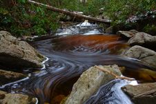 Natural Tannin Colored Stream In The Mountains Stock Image Natural Tannin Colored Stream In The Mountains Stock Image