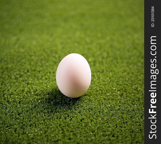 Egg on the green lawn. Egg on the green lawn