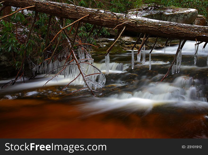 Natural Tannin Colored Stream In The Mountains