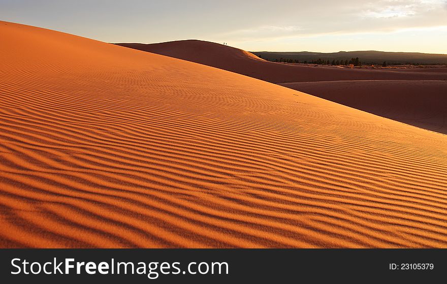 Coral Pink Sand Dunes At Sunset