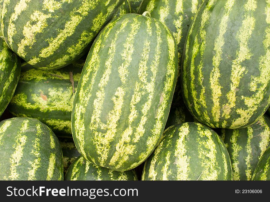 Watermelons are fantastically refreshing in summer days