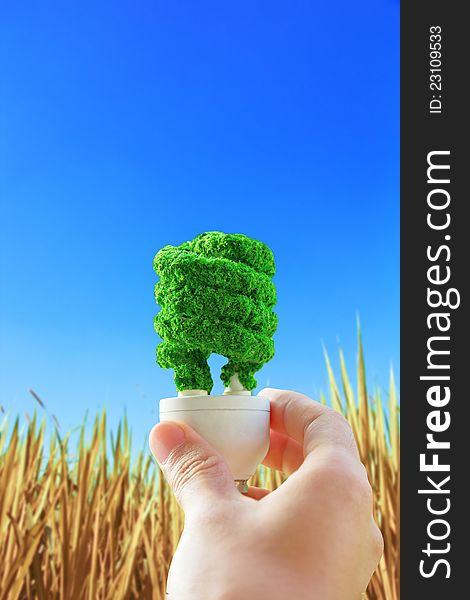 Hand holding eco light bulb on hay background,  energy concept