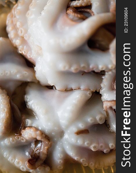 Close up of fresh octopus