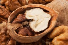 Cracked Open Walnut Royalty Free Stock Photos Cracked Open Walnut Royalty Free Stock Photos