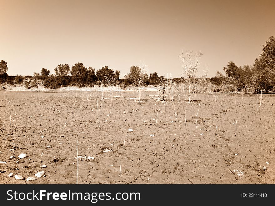 Dry lake bed in august