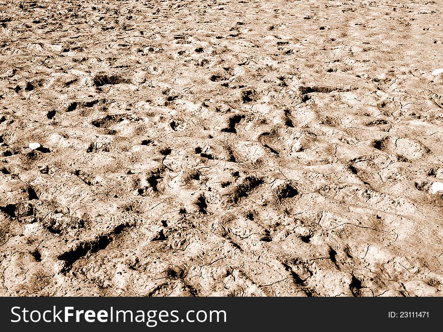 Dry land in summer in italy