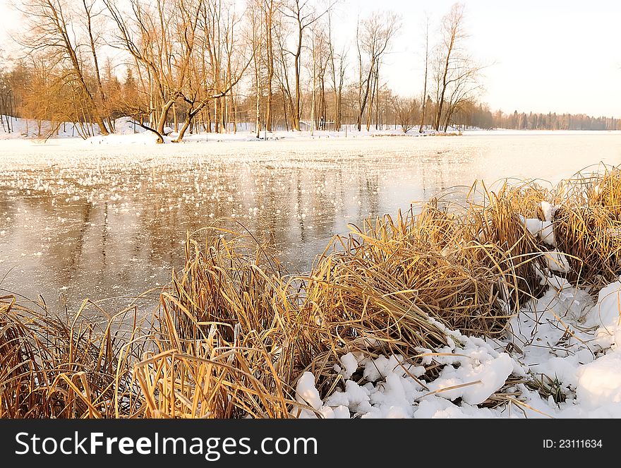 The lake in the winter forest