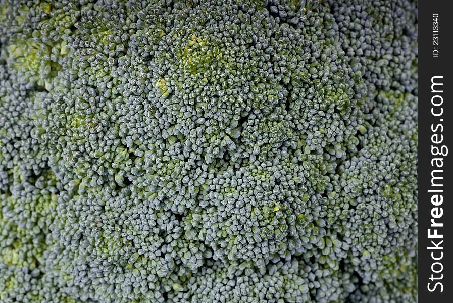 Background of fresh green broccoli