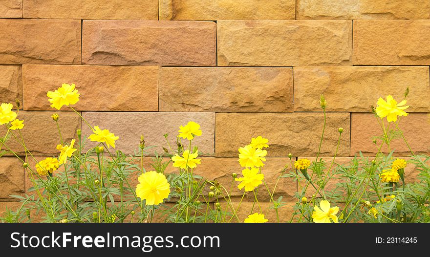 Sandstone fence decorated with yellow flowers in front of the house. Sandstone fence decorated with yellow flowers in front of the house.