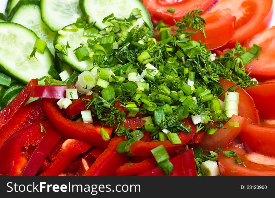 Salad of fresh season vegetables with olive oil. Salad of fresh season vegetables with olive oil