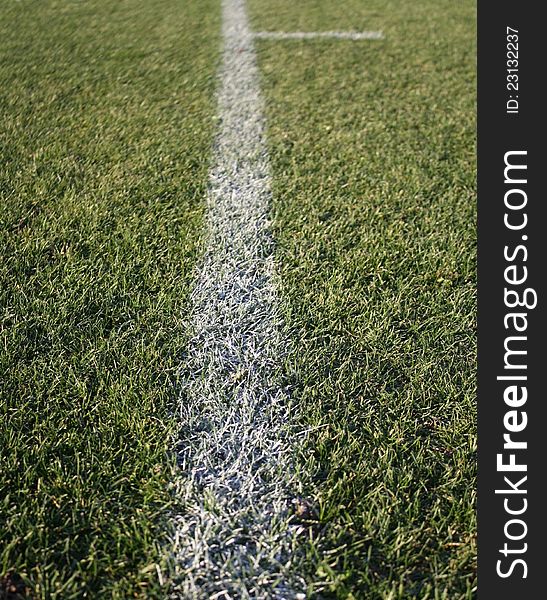 White line on a soccer field.