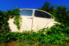 Abandoned Car Royalty Free Stock Photo