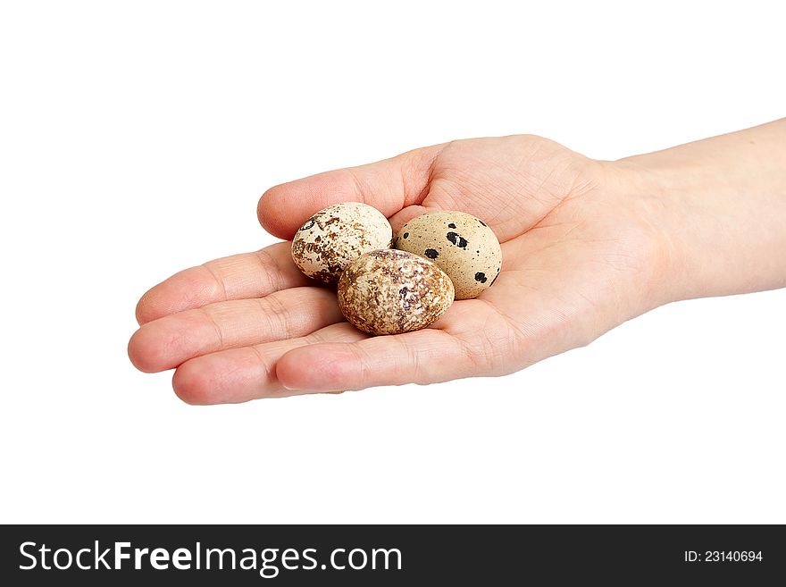 Woman hand with quail eggs. Isolated on white background