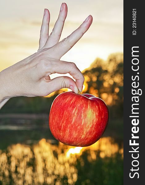 Female fingers holding an rad apple at sunset, blurred background. Female fingers holding an rad apple at sunset, blurred background