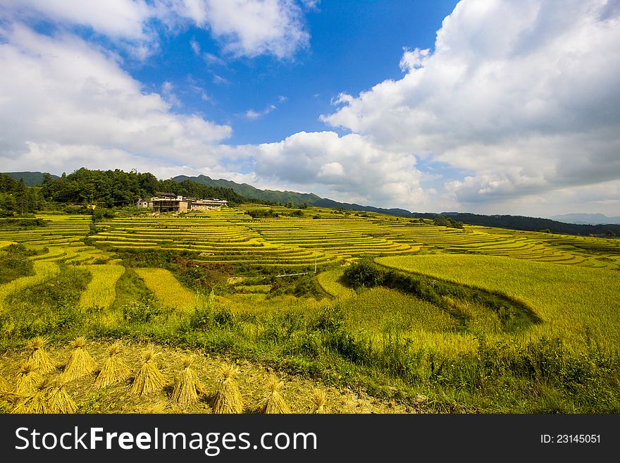 The view of cole's mountains in summer of Guizhou in China. The view of cole's mountains in summer of Guizhou in China.