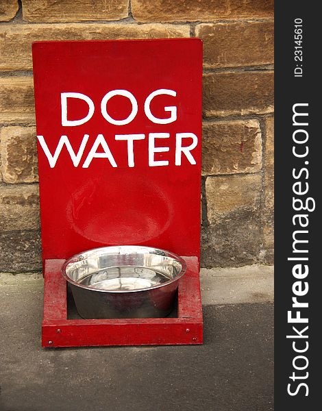A Refreshing Bowl of Water for any Thirsty Dog. A Refreshing Bowl of Water for any Thirsty Dog.