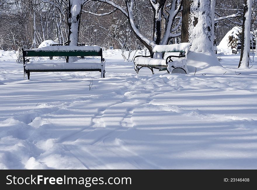 Benches covered with snow in the park, raw format. Benches covered with snow in the park, raw format