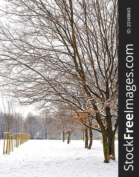 European park covered of snow on a winter day. European park covered of snow on a winter day