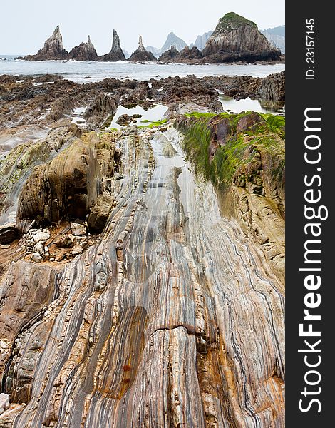 Beach with stone lines and many seaweeds in a cloudy day. Beach with stone lines and many seaweeds in a cloudy day