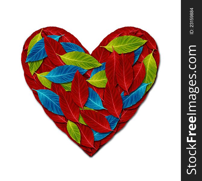 Design of heart made by variety color leaf. Design of heart made by variety color leaf