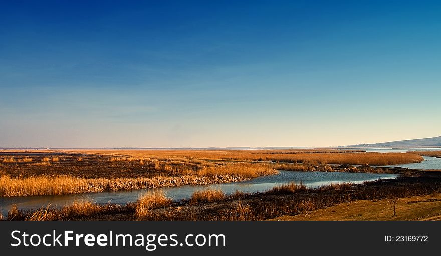 Burned grass landscape with blue sky and water