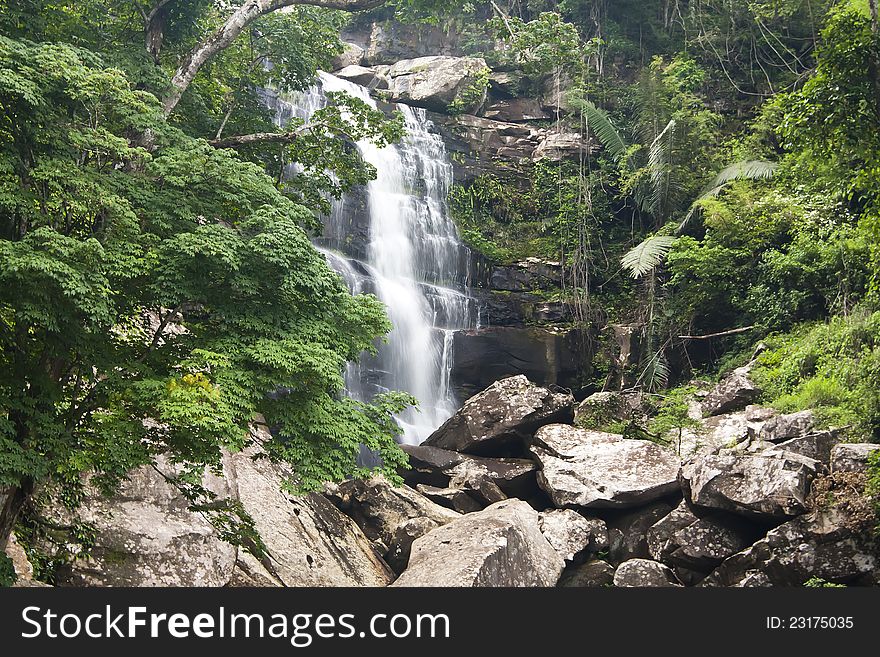 Beautiful rain forest and waterfall