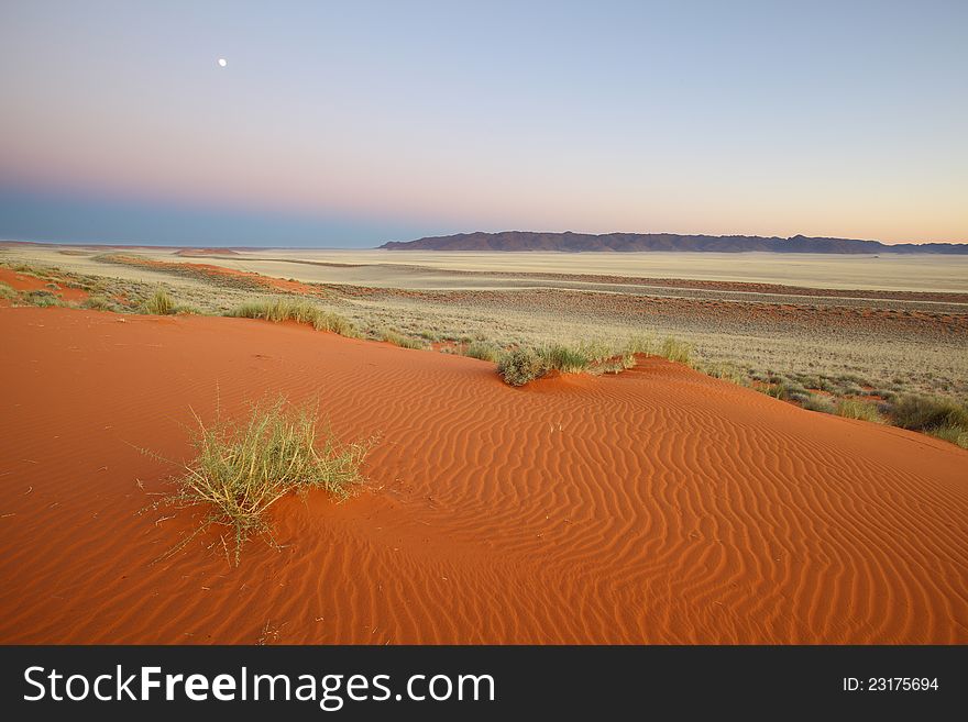 Early morning before sunrise - Moonlit Red Sand Dune