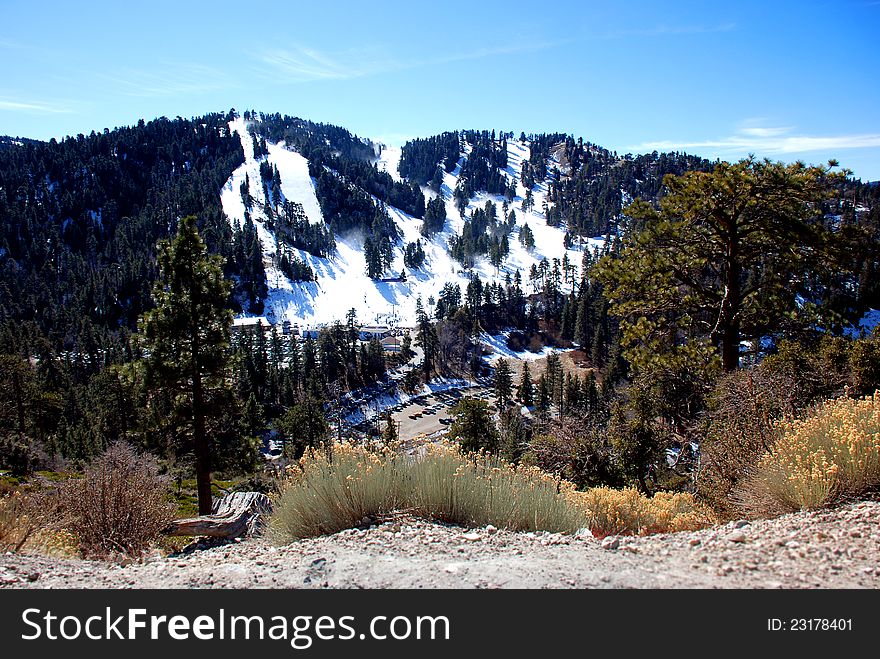 Mountains in California. View looking over the ski slope. Wild brush and trees in foreground. Mountains in California. View looking over the ski slope. Wild brush and trees in foreground.
