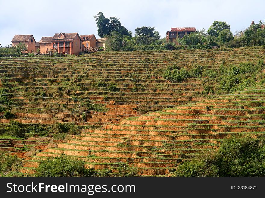 Small village on top of a rice field near Ambalavao in Madagascar