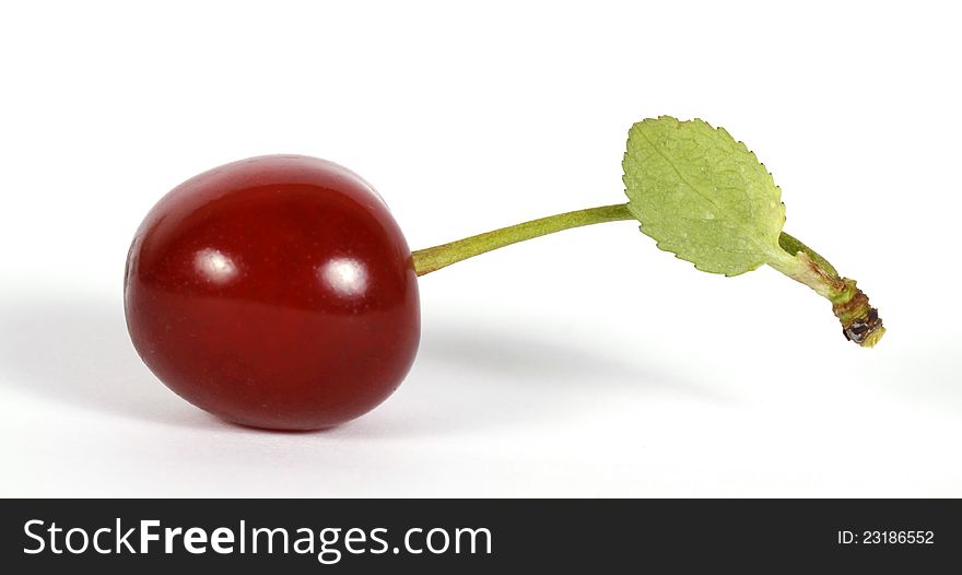 Red cherry on the white background