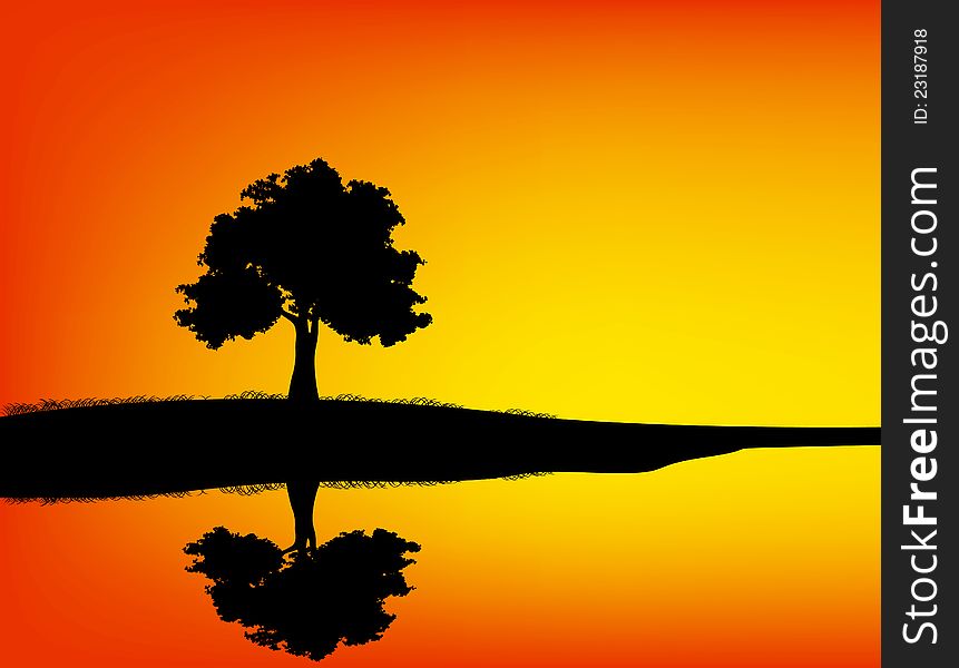 Trees and reflections in the evening. A beautiful sunset. Trees and reflections in the evening. A beautiful sunset