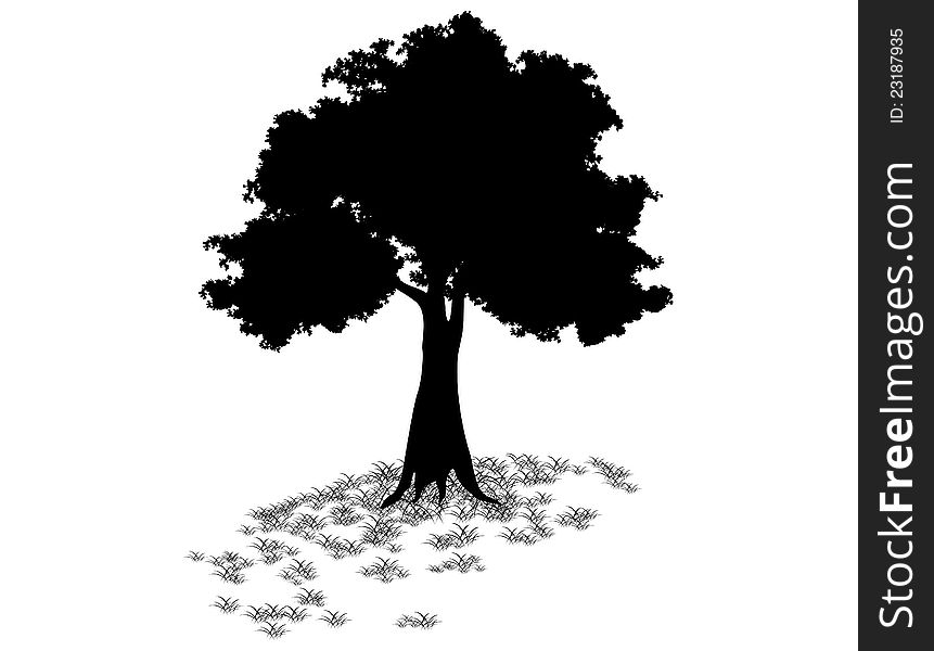 Trees for Clip art and wallpaper. Trees for Clip art and wallpaper