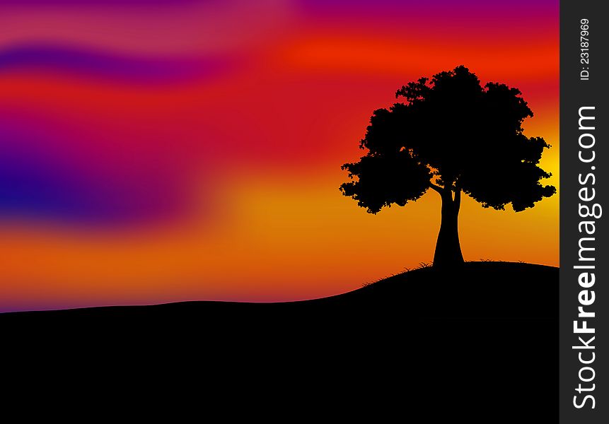 Tree Silhouetted And Sunset
