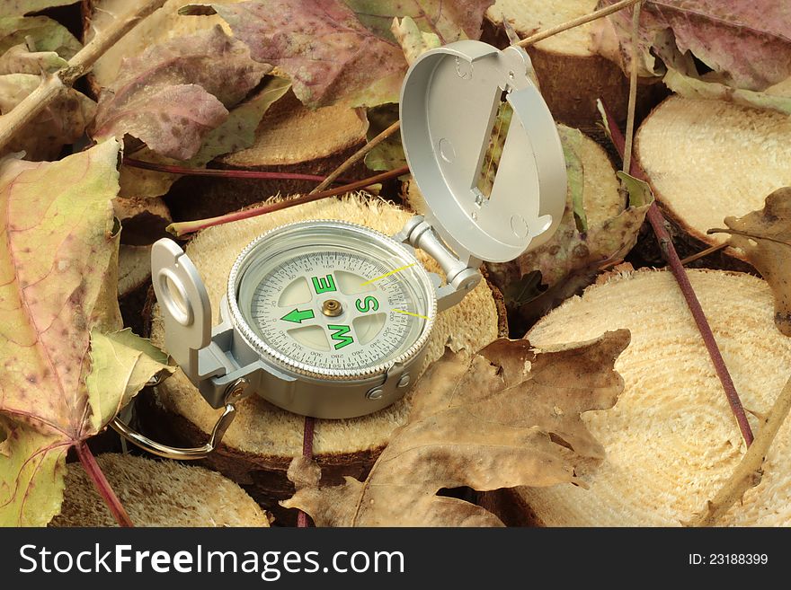 A concept of surviving in wild nature; compass on leafy and wooden background. A concept of surviving in wild nature; compass on leafy and wooden background.