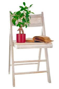 Ficus Tree, Vintage Book And Garden Chair Royalty Free Stock Photography