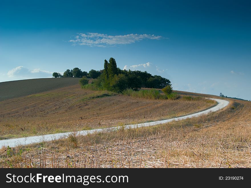 Panoramic sunset landscape road in Italy and tree