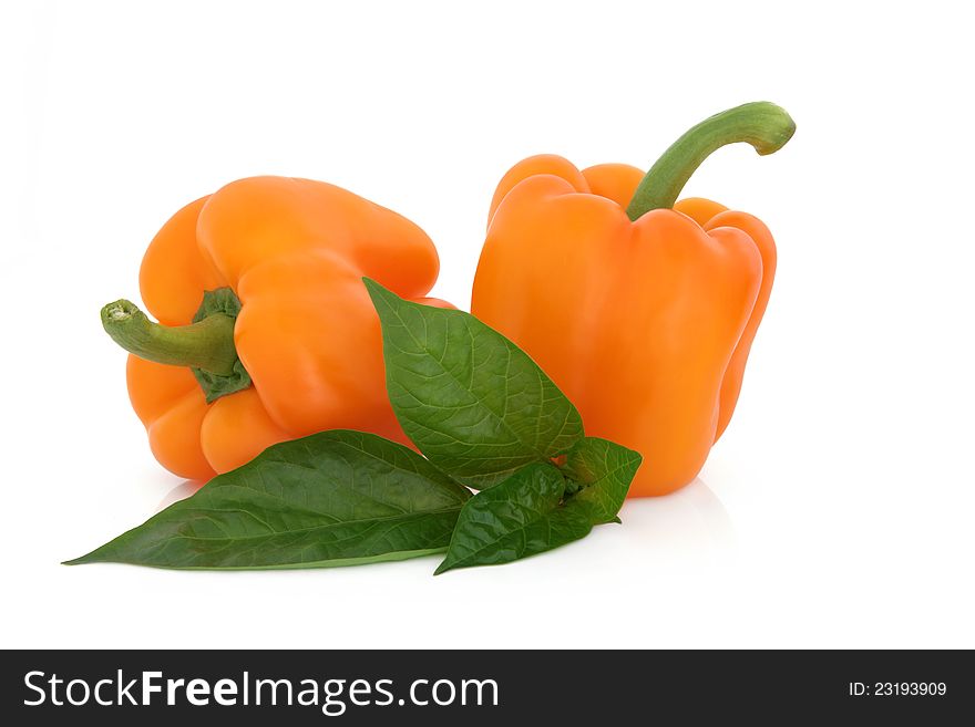 Orange pepper vegetables with leaf sprig over white background. Orange pepper vegetables with leaf sprig over white background.