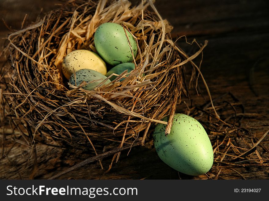 Speckled eggs in nest on wood