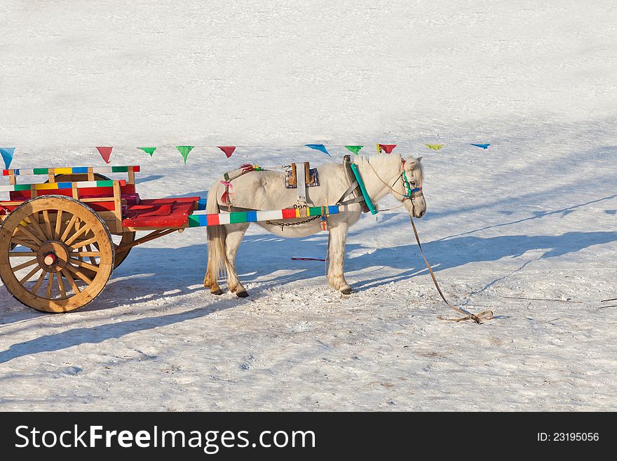 Carriage In The Snow