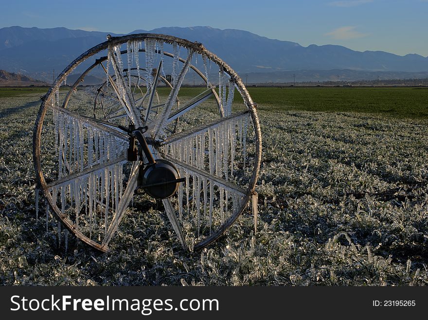 Ice Covered Field Sprinklers In California. Ice Covered Field Sprinklers In California