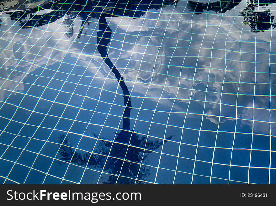 Swimming pool and reflection of palm tree. Swimming pool and reflection of palm tree
