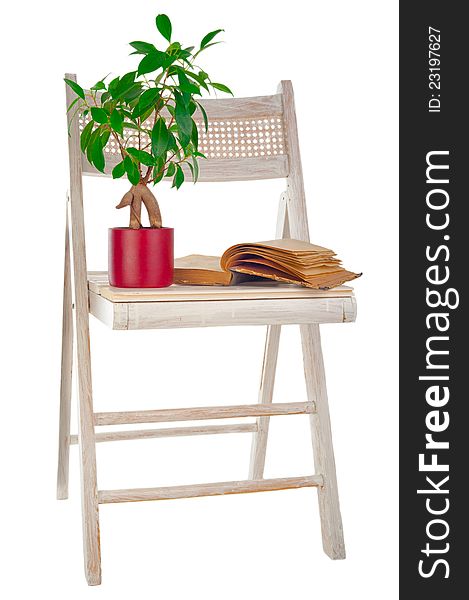 Ficus Tree, Vintage Book And Garden Chair