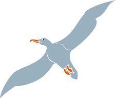 Seagull Royalty Free Stock Images