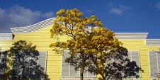 Yellow House Royalty Free Stock Photo Yellow House Royalty Free Stock Photo