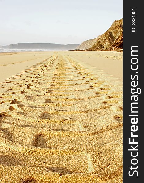 Huge tracks in sand on the beach in Portugal