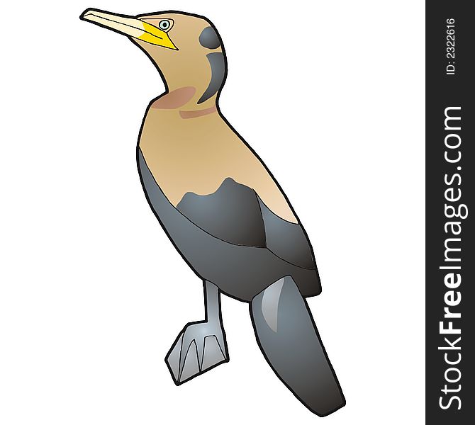 Art illustration of a brazilian bird, the bigua