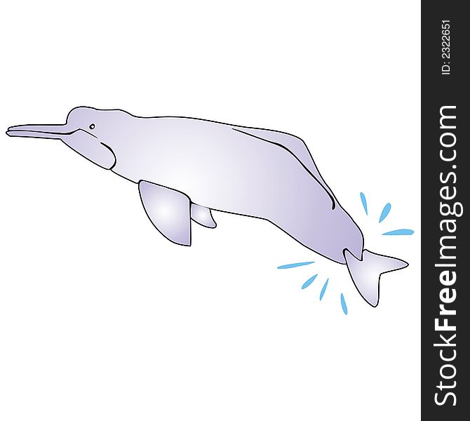 Art illustration of a dolphin