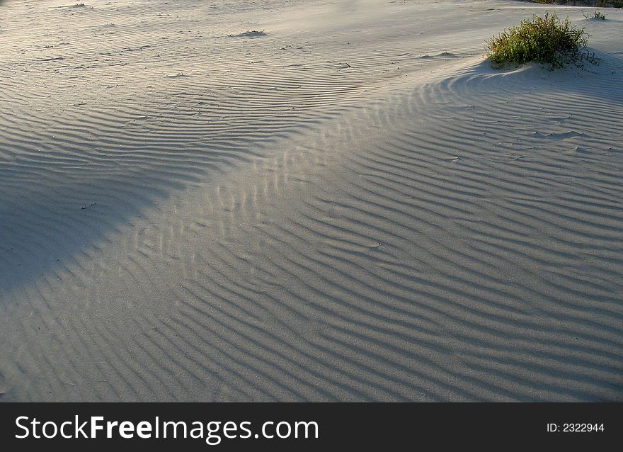 Sand dune texture on sunset. Sand dune texture on sunset