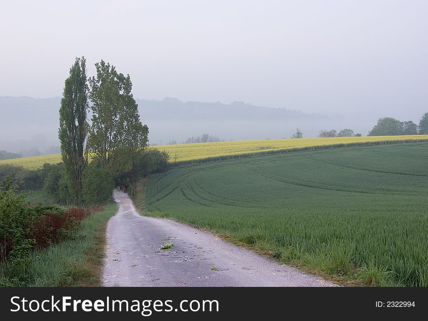 Towards The Rapeseed Fields