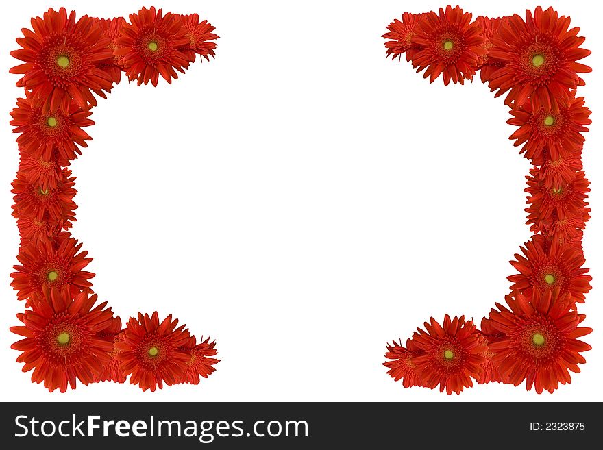 Red floral background with red flower border